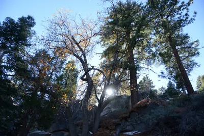 DSC_5079 (Large).JPG